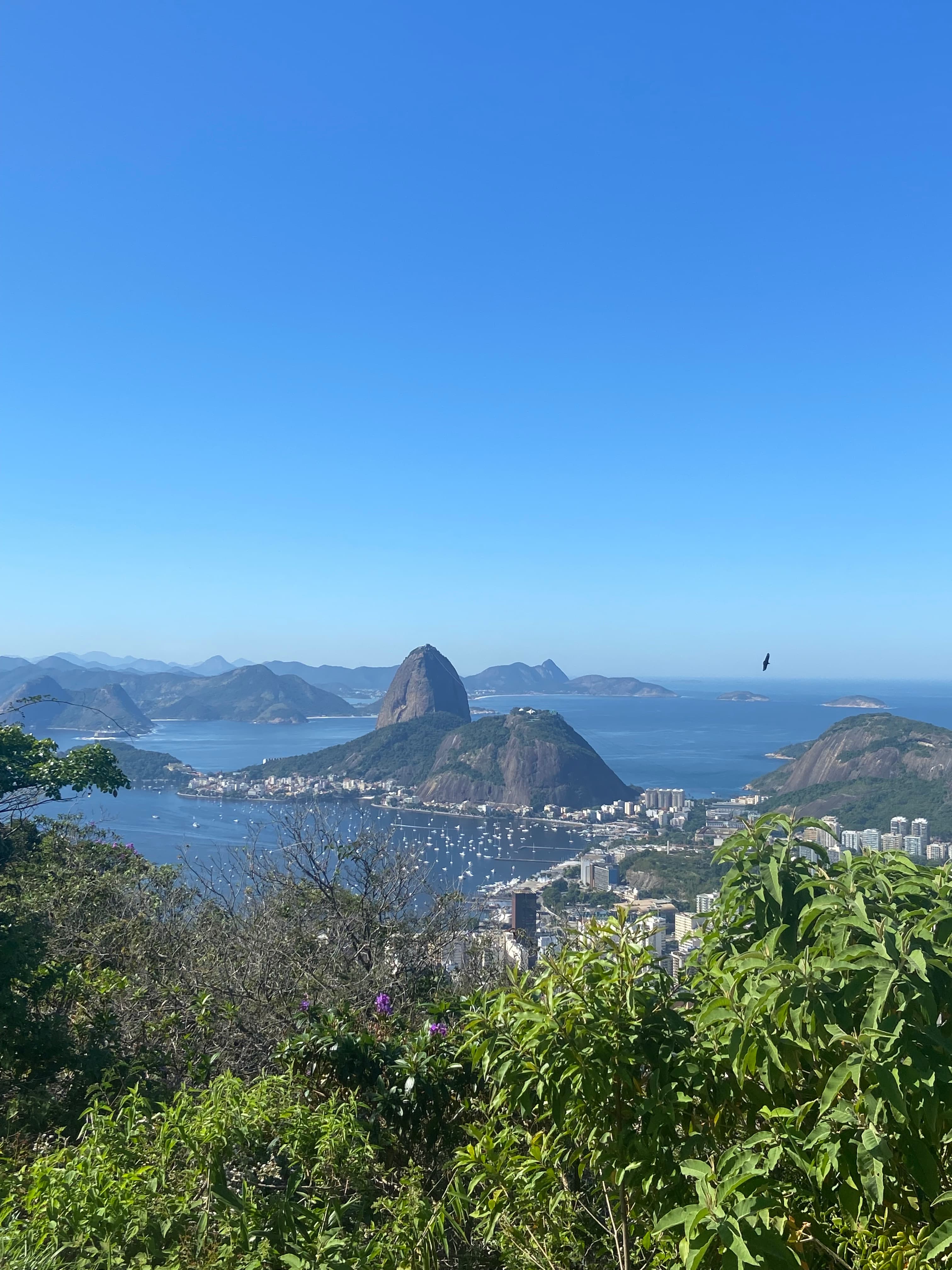 Photo de voyage au Brésil